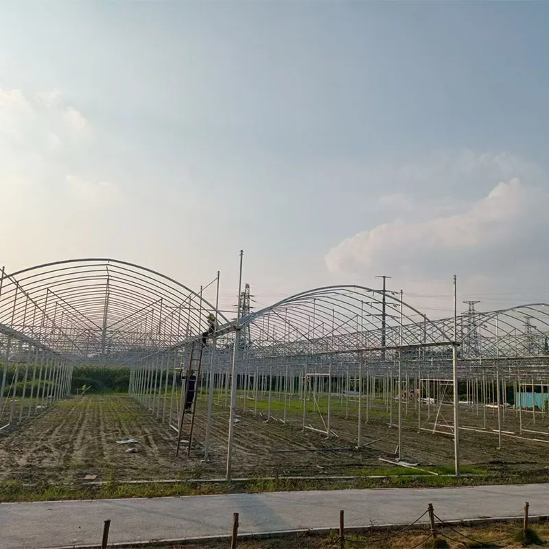 Пленочная теплица