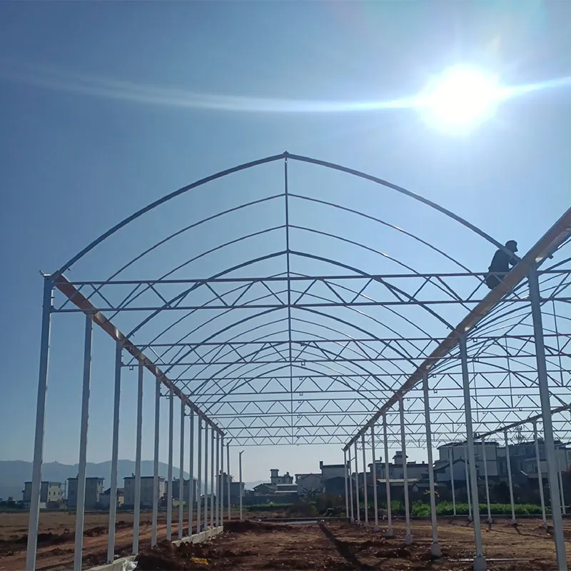 Пленочная теплица