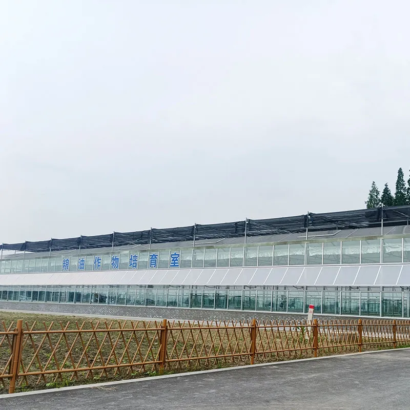 Стеклянная теплица