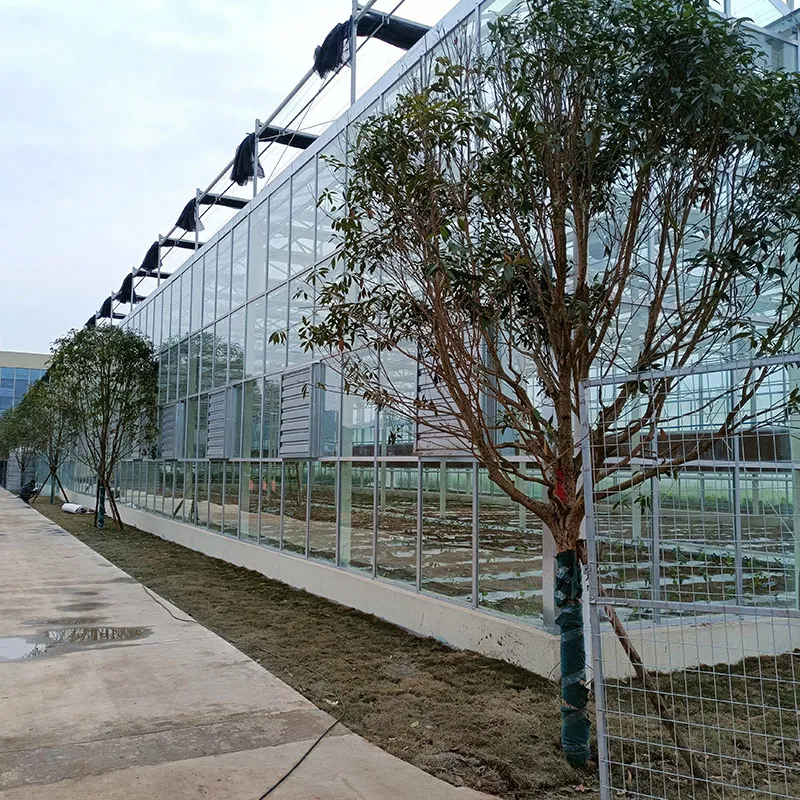 Стеклянная теплица