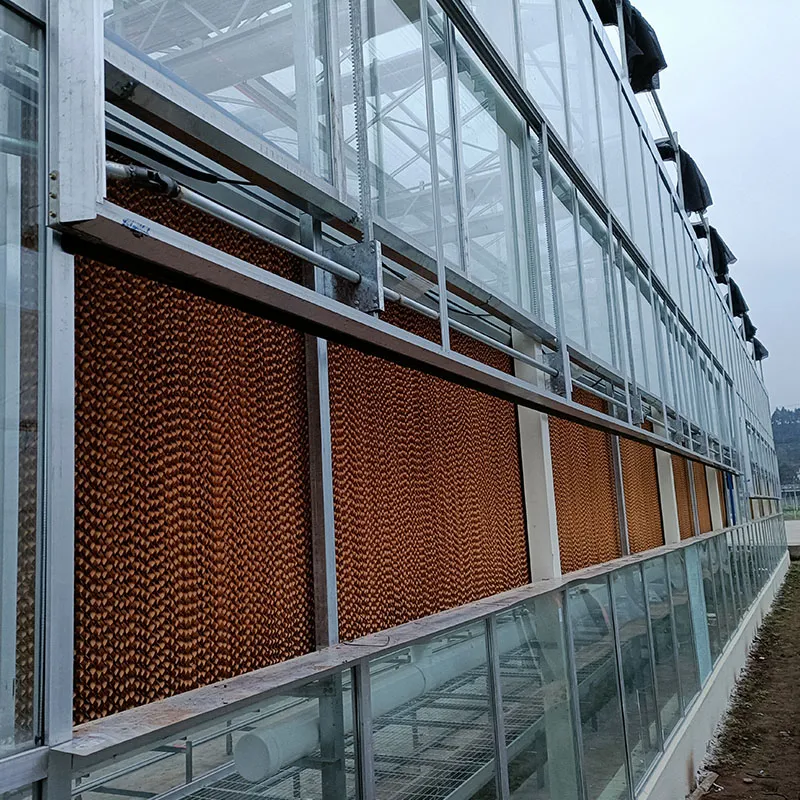 Стеклянная теплица