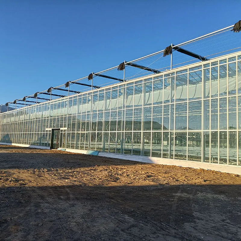 Стеклянная теплица