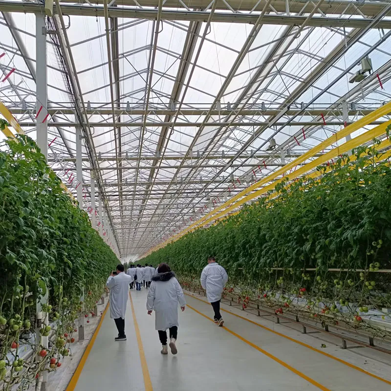 Стеклянная теплица