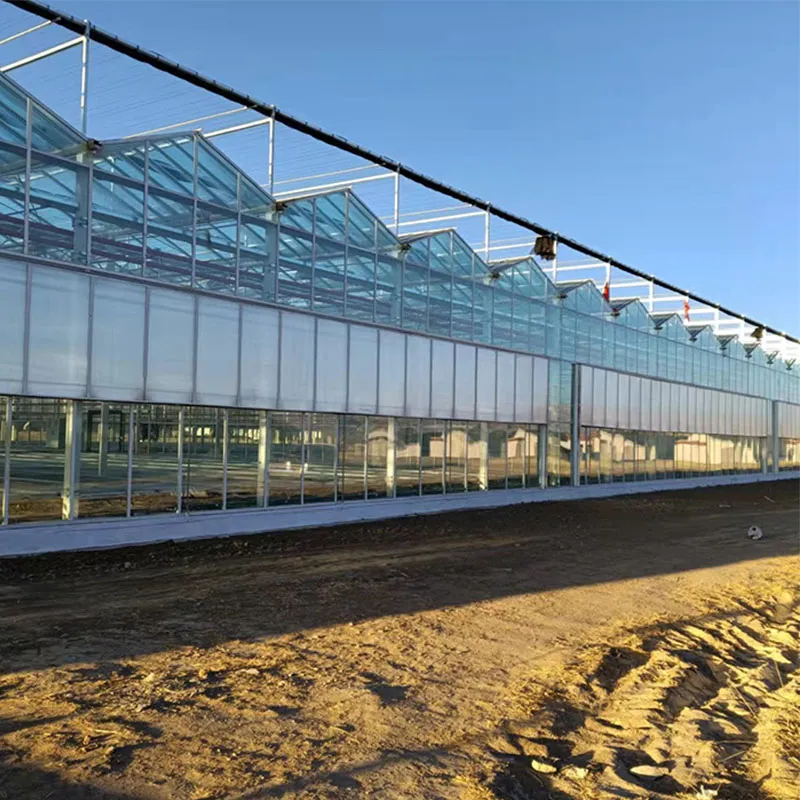 Стеклянная теплица