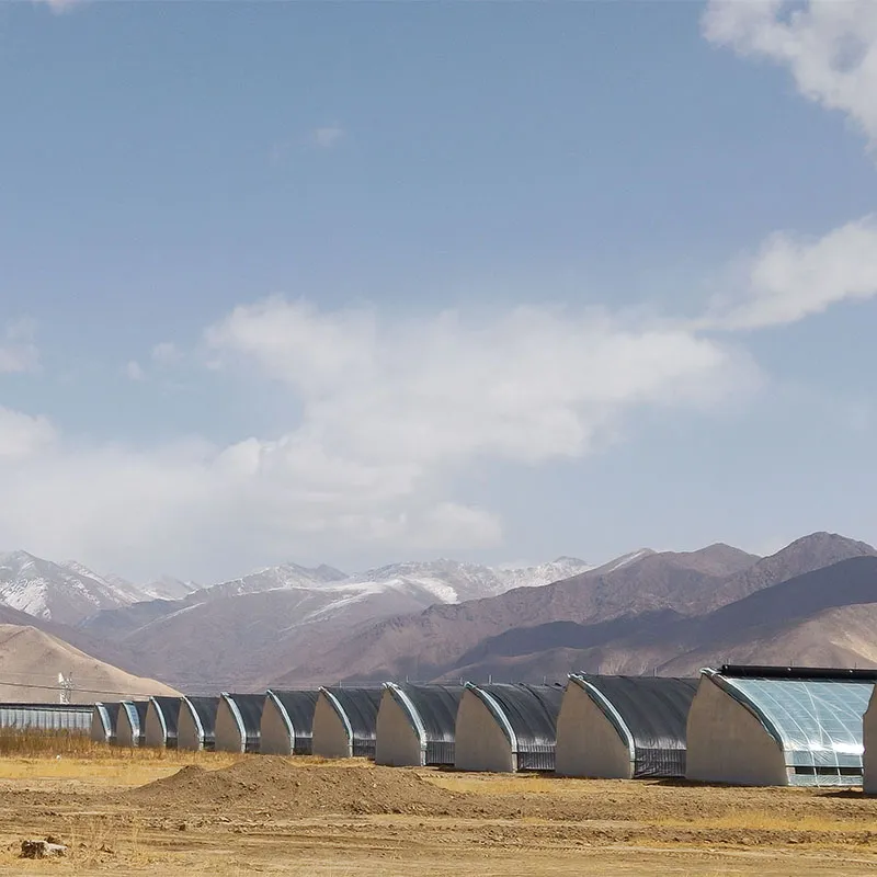 Солнечная теплица