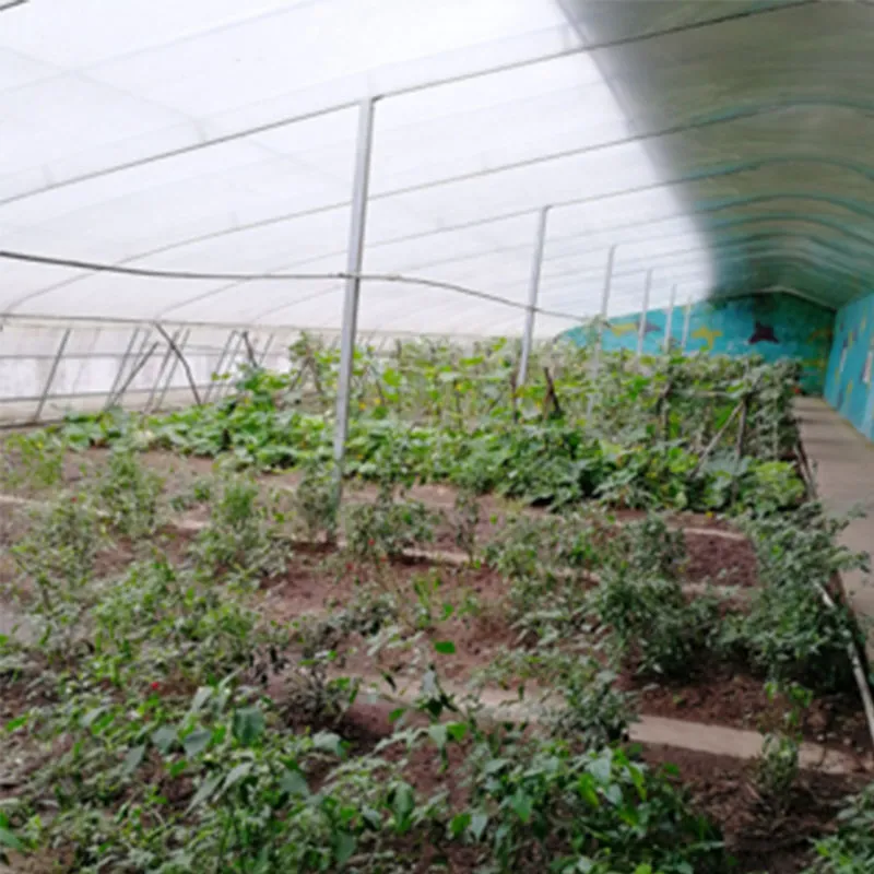 Солнечная теплица