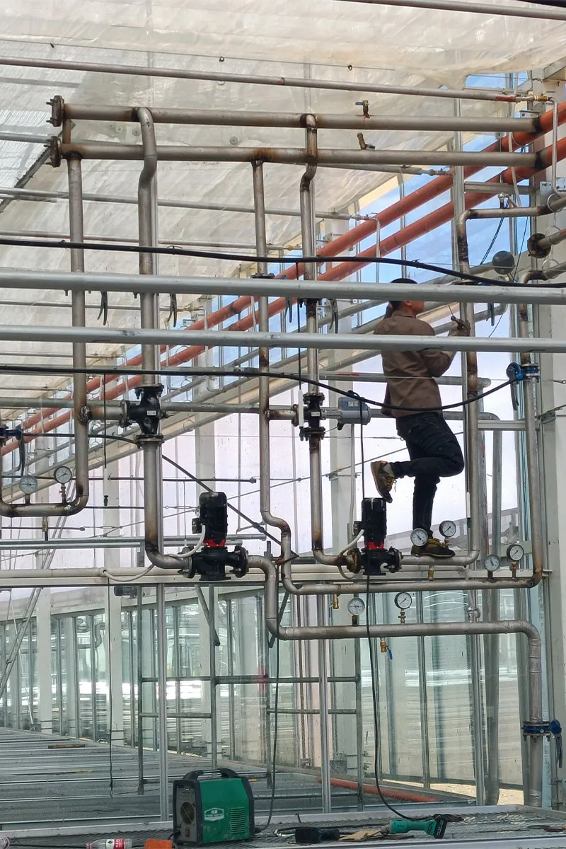 Строительство-интеллектуальных-теплиц