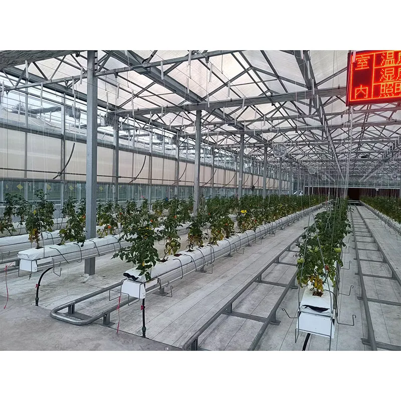 Теплица из поликарбонатных листов