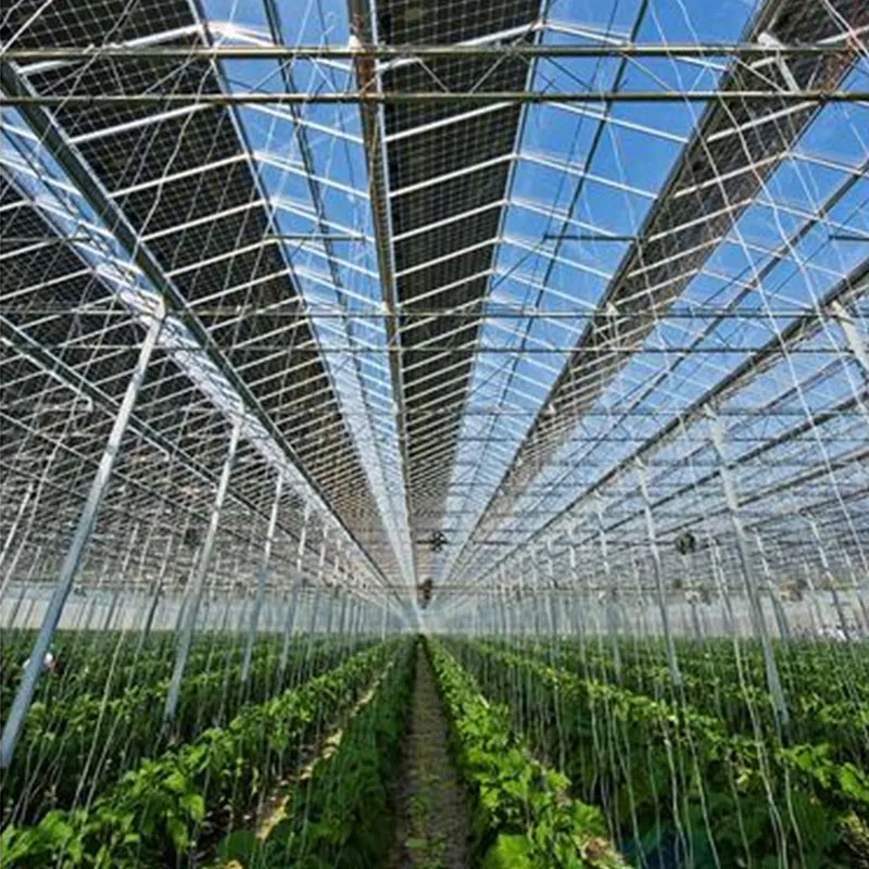 Теплица + солнечная фотоэлектрическая энергия