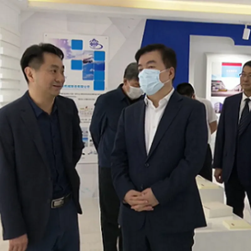 Претседатель комитета КПК города Баодинь Дан Сяолун и его сопровождающие посетили нашу компанию для проведения исследования и дать руководство