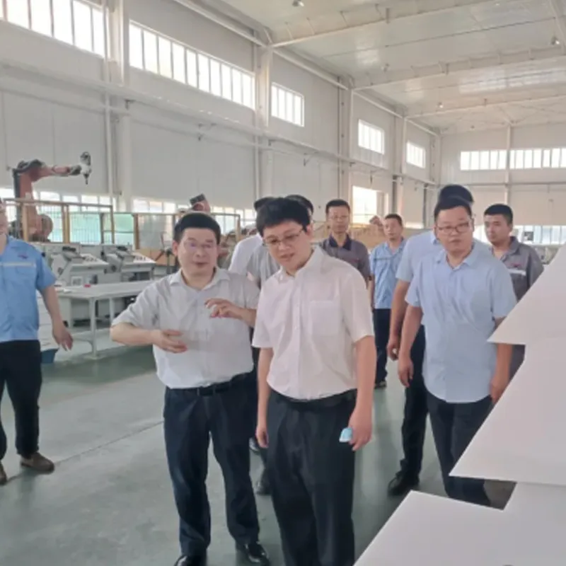 Ли цян и его окружение посетили наш отдел исследование