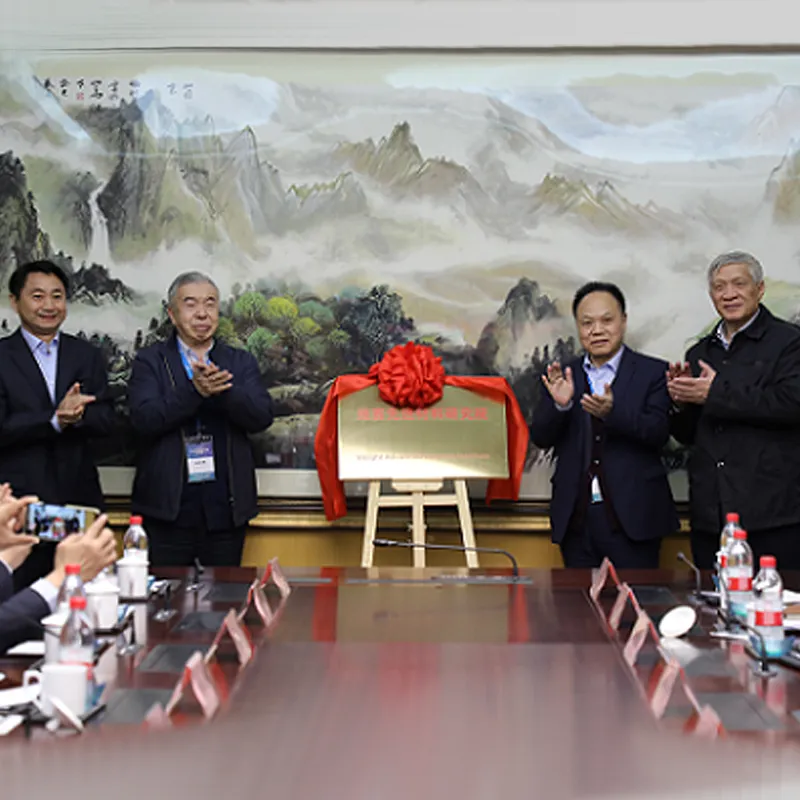 В отеле ляньюньган хуагошань большой отель состоялась церемония открытия института перспективных материалов висай и первое заседание академического комитета висай новые материалы