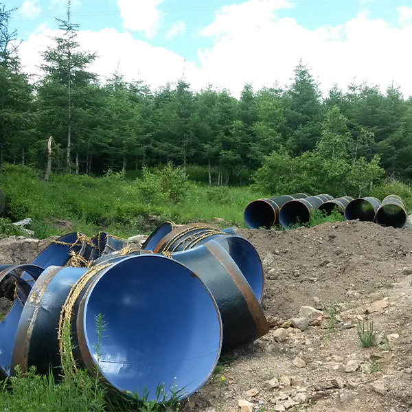 Перспективы развития