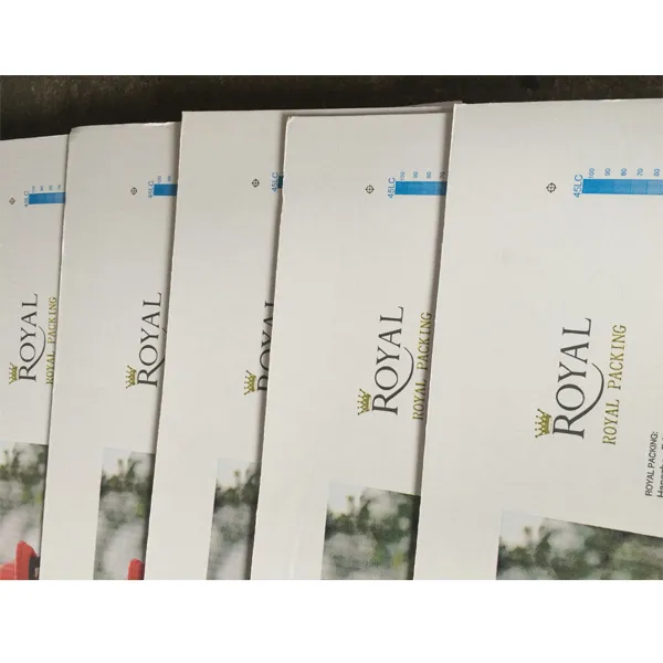 Флексографская фальцевально-склеивающая машина MJKM