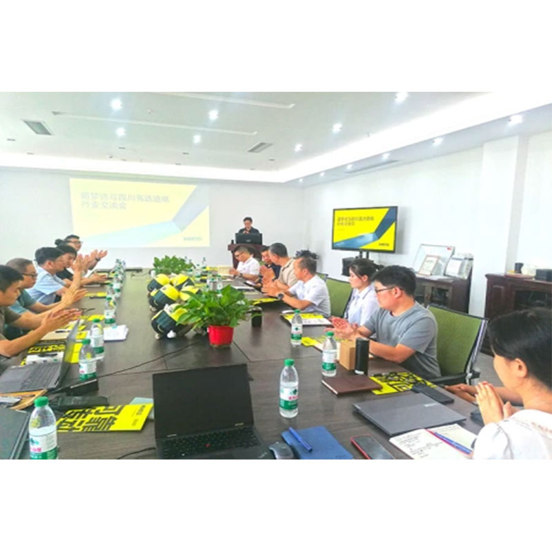 Встреча INNOMOTICS и Sichuan Gaoda Technology Paper Industry Exchange Meeting