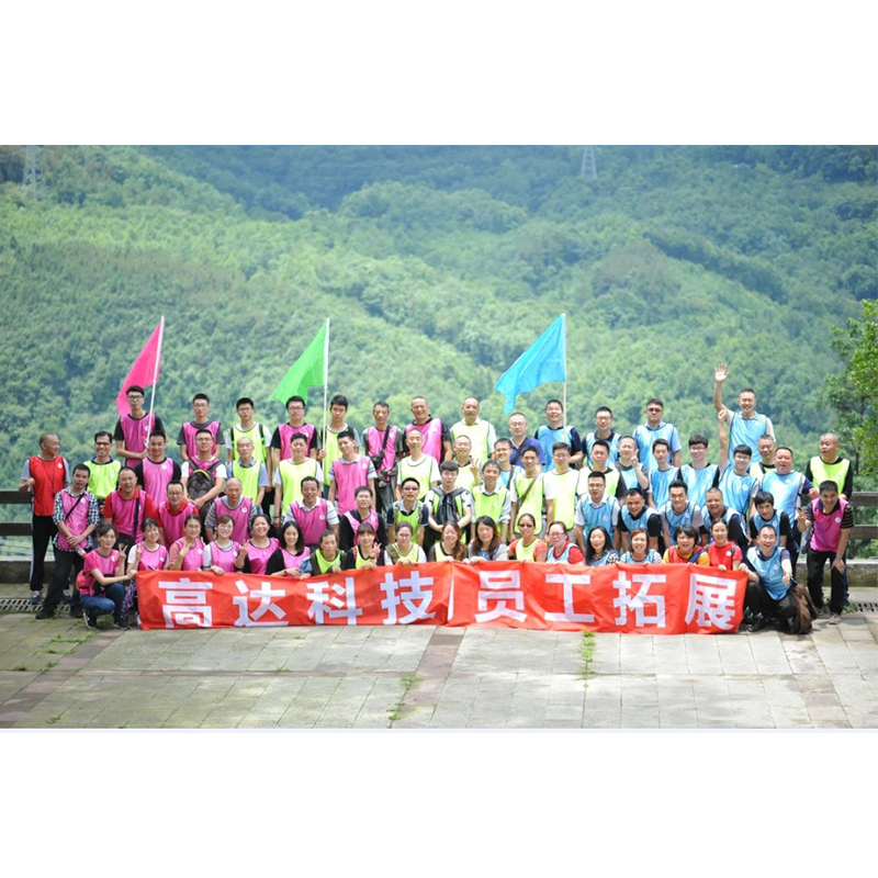 Sichuan Gaoda Technology Co., Ltd., Командное строительство