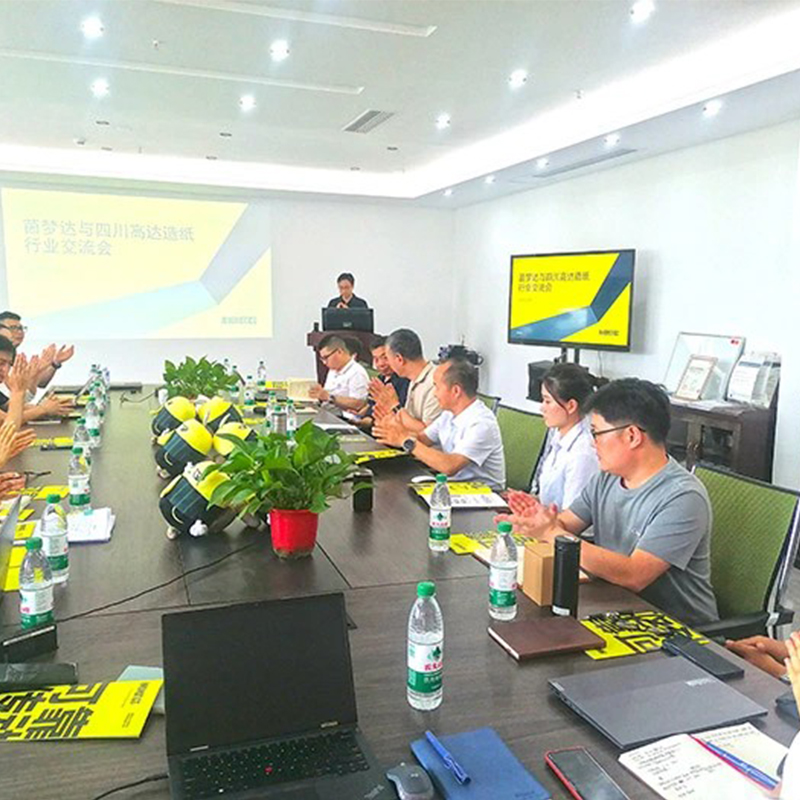 Встреча INNOMOTICS и Sichuan Gaoda Technology Paper Industry Exchange Meeting