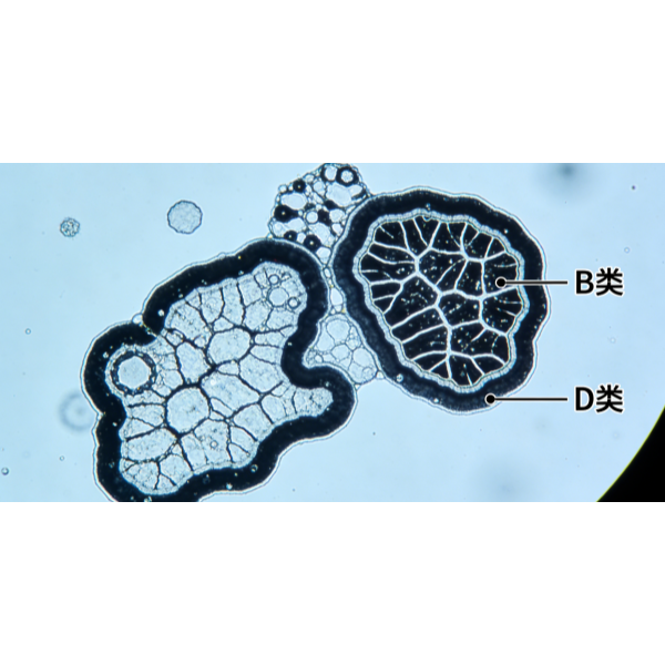 Секрет качества титановых листов: контроль всего производственного процесса от выплавки до сварки