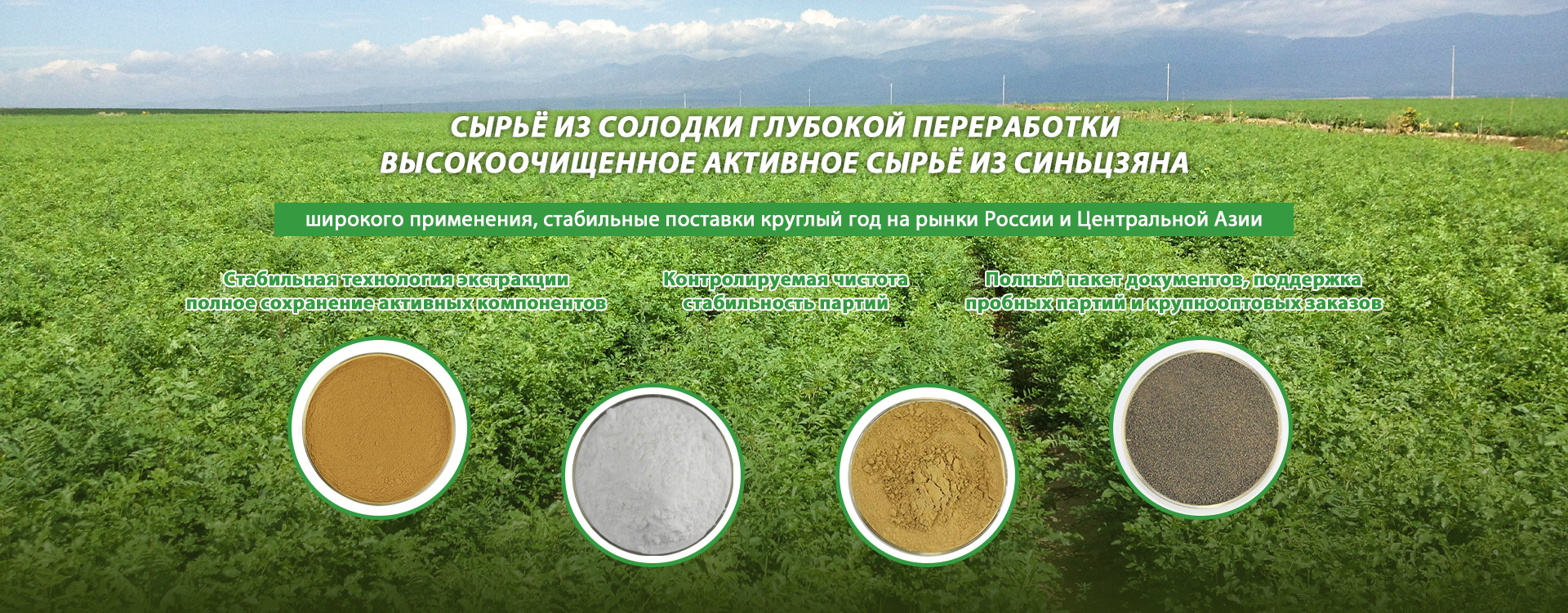 Серия солодки-banner1 (3)
