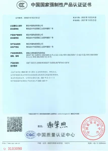 Сертификат (1)