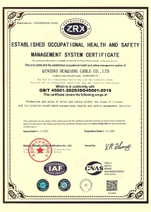 Сертификат111 (7)