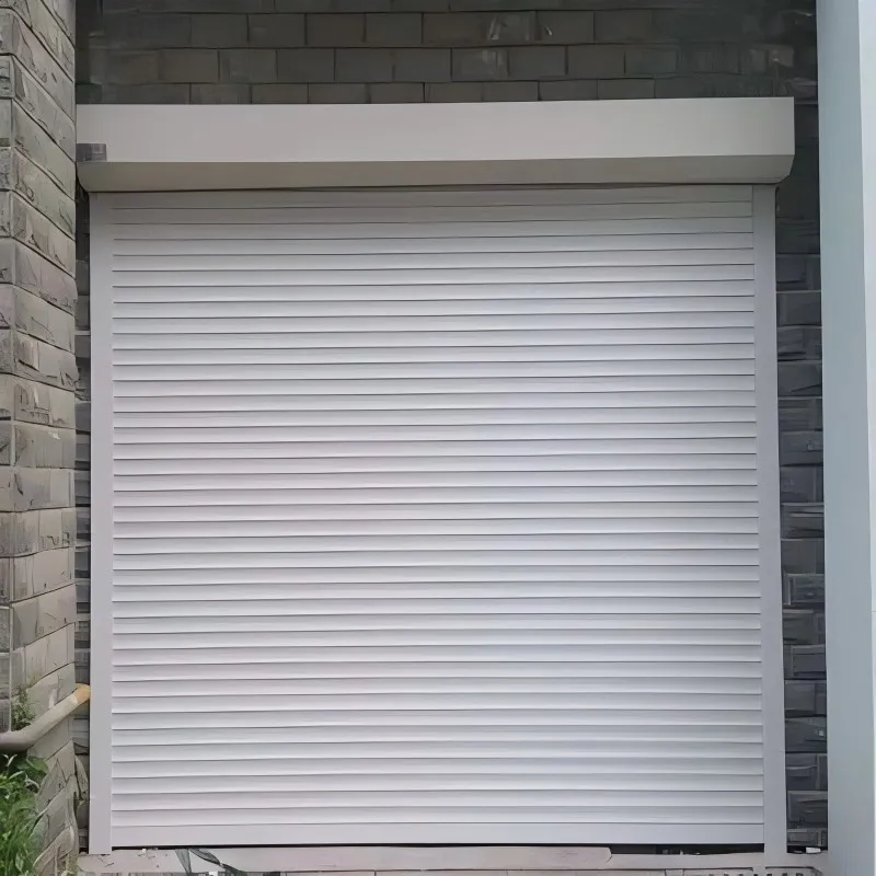 Стальной рулонный ворота