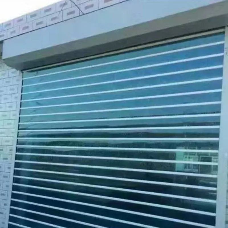 Стальной рулонный ворота