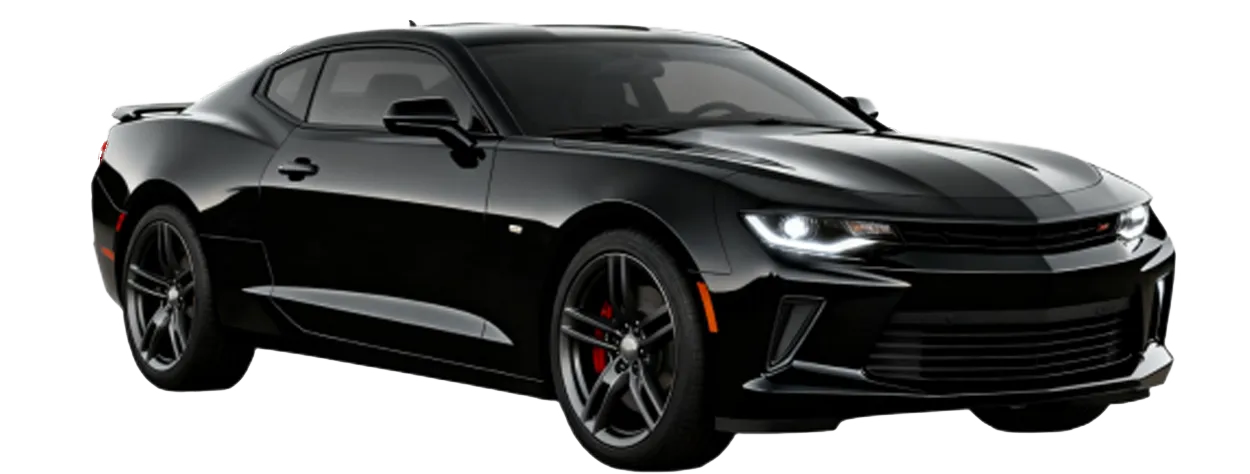 ‌багажник,брызговики,капот и решетка радиатора - ООО Цзыян Цзилисыда Индастриал