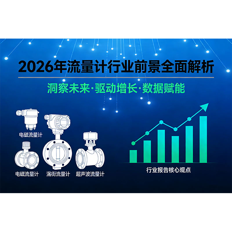 Комплексный анализ перспектив развития отрасли расходомеров на 2026 год