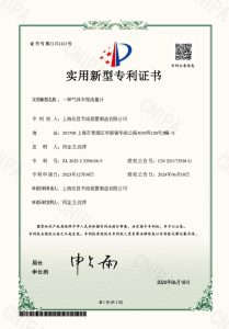 cer11 (8)