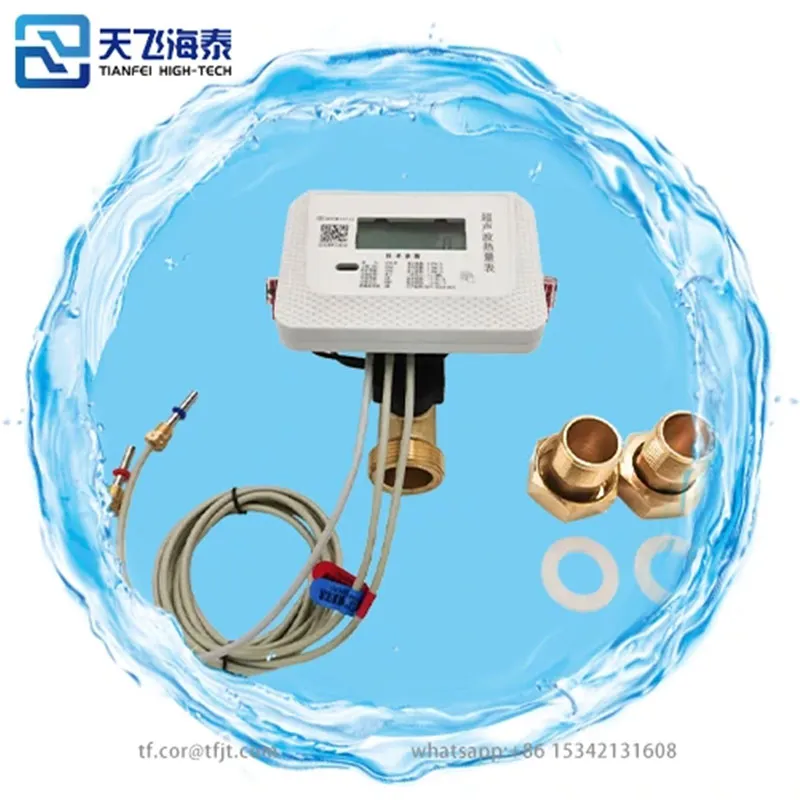 Международный день человеческой солидарности | Объединяем усилия с русскоязычными партнерами для построения экологичного будущего с помощью ультразвуковых теплосчетчиков