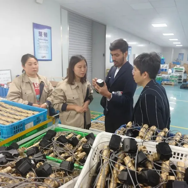 Tianfei Haitai и индийские заказчики работают рука об руку, создавая великолепие