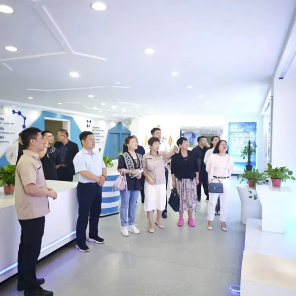 Недавно президент Тяньцзиньской ассоциации частных предприятий Чжан Сяоянь и члены Ассоциации посетили Тяньфэй Хайтай с визитами и переговорами о сотрудничестве