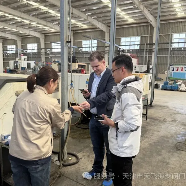 Российским покупателям “нравится”!Новые возможности для зарубежного сотрудничества в области электроклапанов в условиях корректировки тарифов