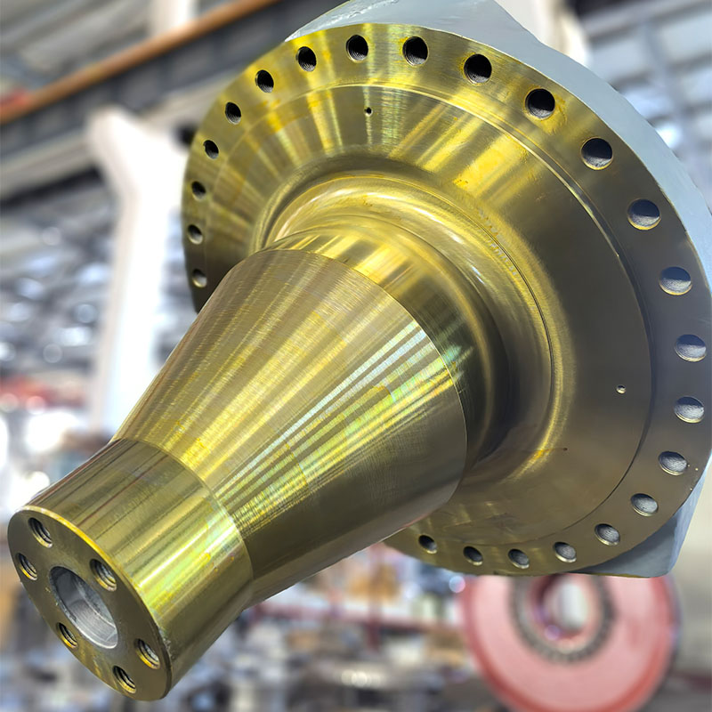 NTE240 Поворотный кулак переднего моста 20042962