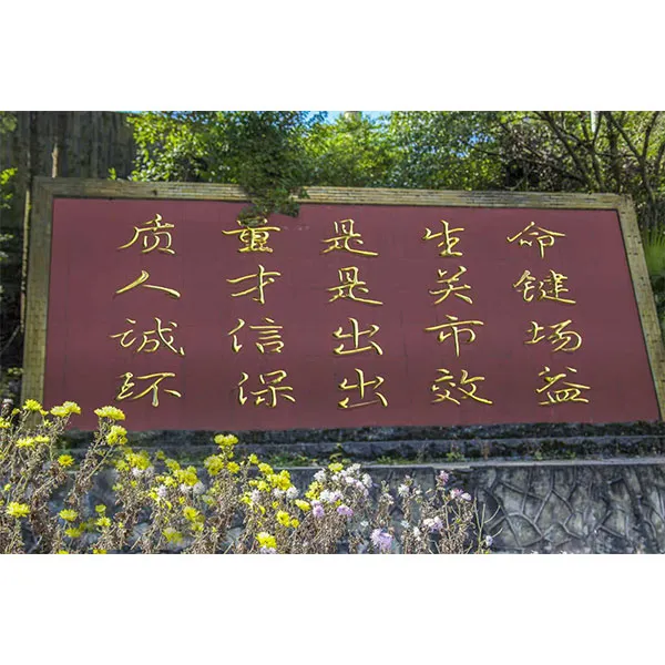 Один из проектов нашей компании был выбран для участия в городской программе по созданию научно-технических инновационных команд