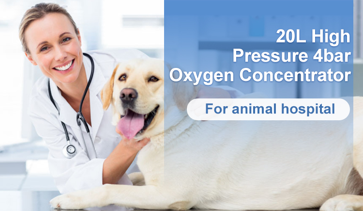 Высокопроизводительный 20-литровый 4202 (1)