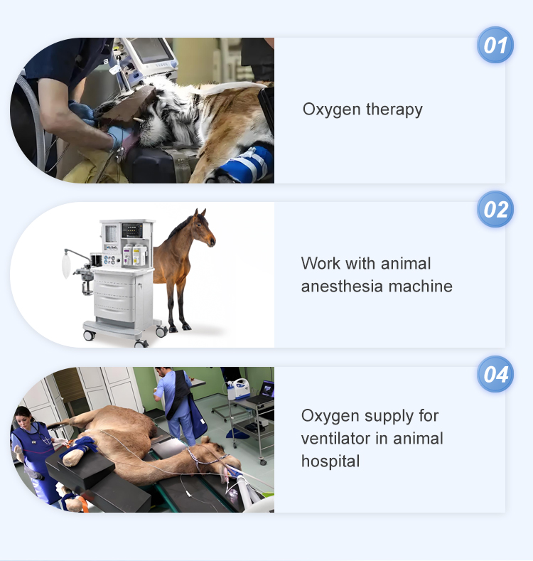 Высокопроизводительный 20-литровый 4202 (3)