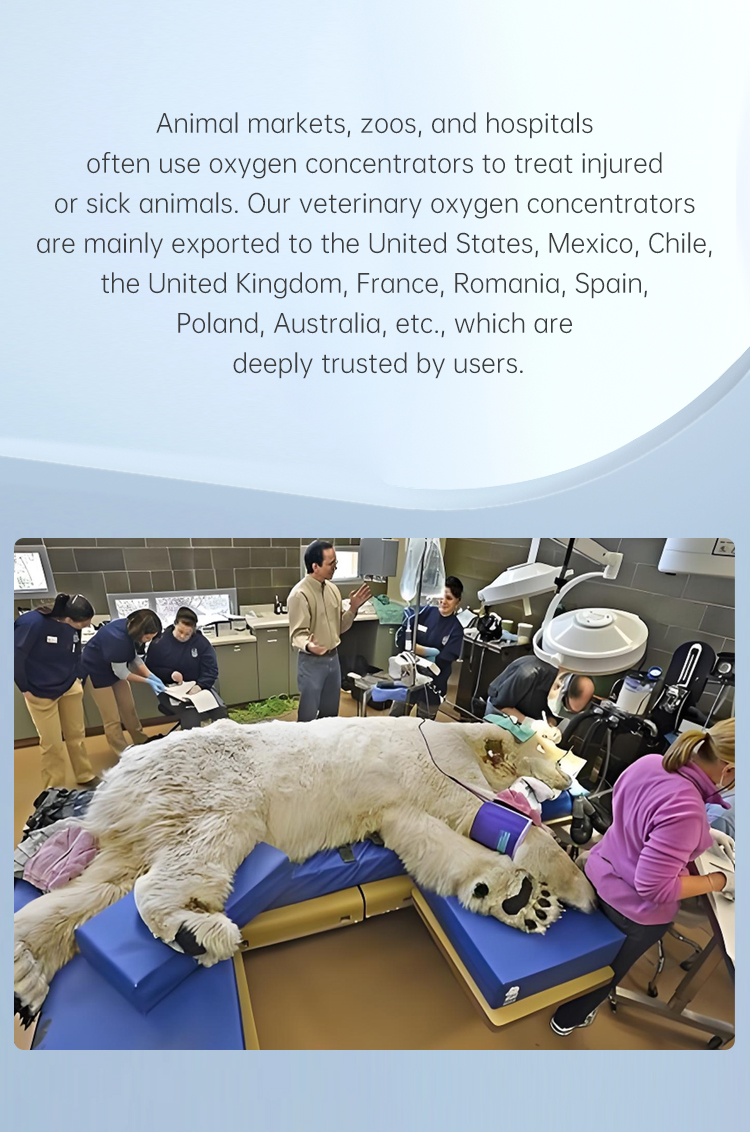 Высокопроизводительный 20-литровый 4202 (4)