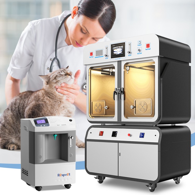 Longfian JAY-10 4202 (1)