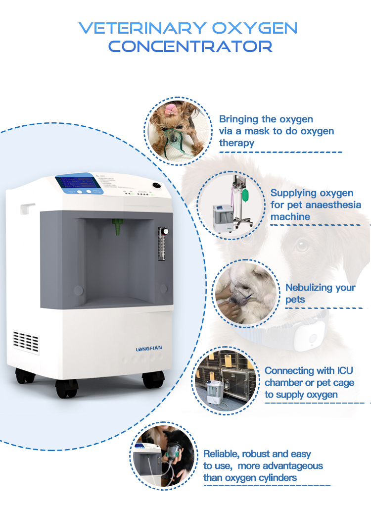 Longfian JAY-10 4202 (11)