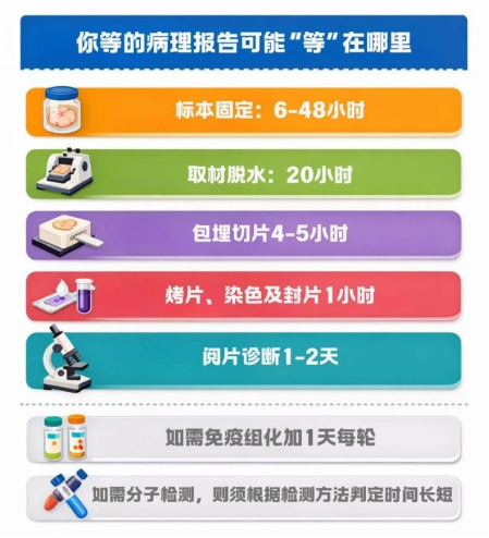 0078b360fe271e2a91a0cd8e80a2f358