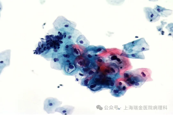 6aa767a67ad6bac0e11b0199e2930d23