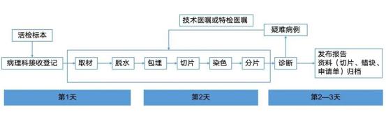 db97716b1c819aa44cfdc008423918c3