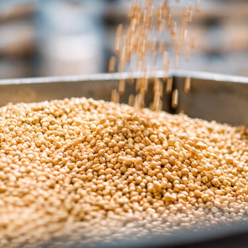 Как установка для ингибирования и размягчения соевых бобов повышает эффективность измельчения сои?