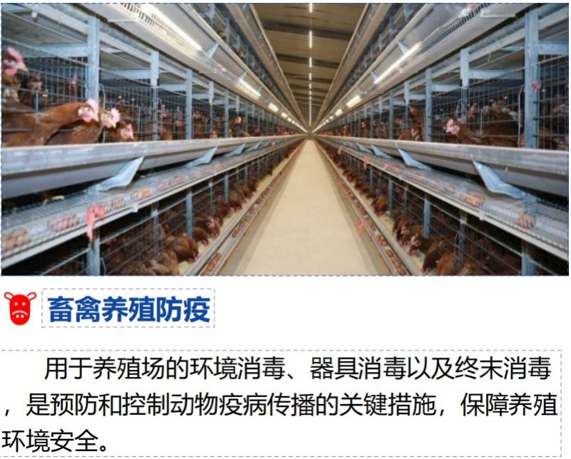 Дезинфицирующий порошок AT101, дезинфицирующие таблетки AT102 420 (6)