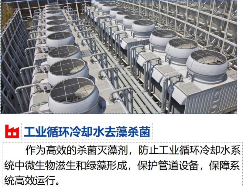 Дезинфицирующий порошок AT101, дезинфицирующие таблетки AT102 420 (8)