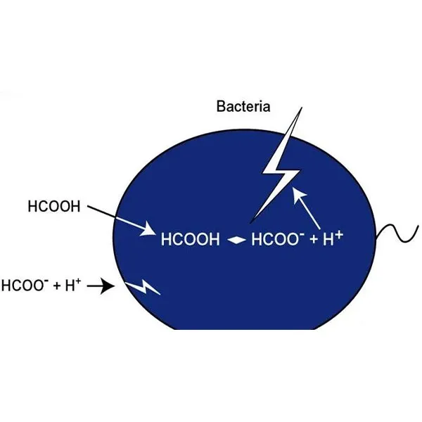 Диацетат калия — наиболее практичный и быстродействующий продукт для повышения кислотности