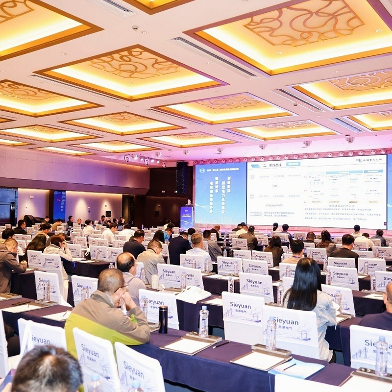 Директор по продажам Чжэнь Юн принял приглашение принять участие в 2025 году (третьей) Конференции по технологическим инновациям городских электросетей — «Ориентир на инновации в электросетях для содействия высококачественному развитию авиационных сигнальных огней».