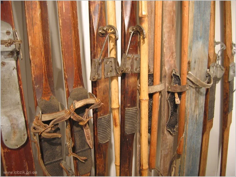 Износостойкие лыжи из Китая: Топ-5 моделей 2026 года

Китай Износостойкие лыжи становятся все более популярным выбором для любителей зимних видов спорта, предлагающим отличное сочетание долговечности и доступной цены. В этой статье мы рассмотрим лучшие модели, которые доказали свою надежность в суровых условиях.